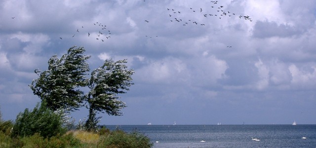 Urlaub am Ijsselmeer