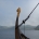 Wikingerschiff mit Drachenkopf