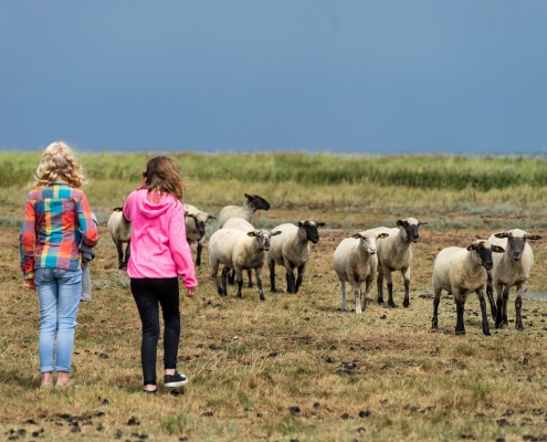 Ferienparks an der Nordsee