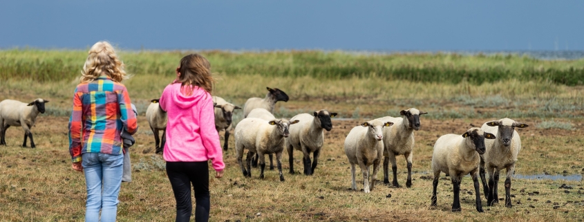 Ferienparks an der Nordsee